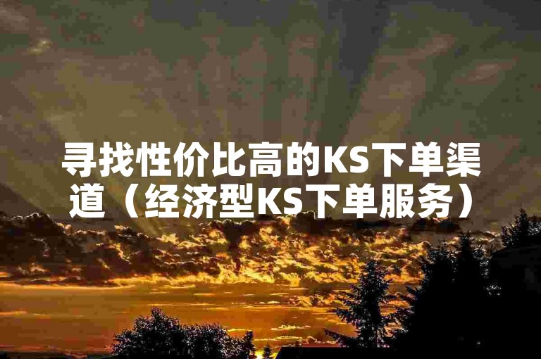 寻找性价比高的KS下单渠道（经济型KS下单服务）。