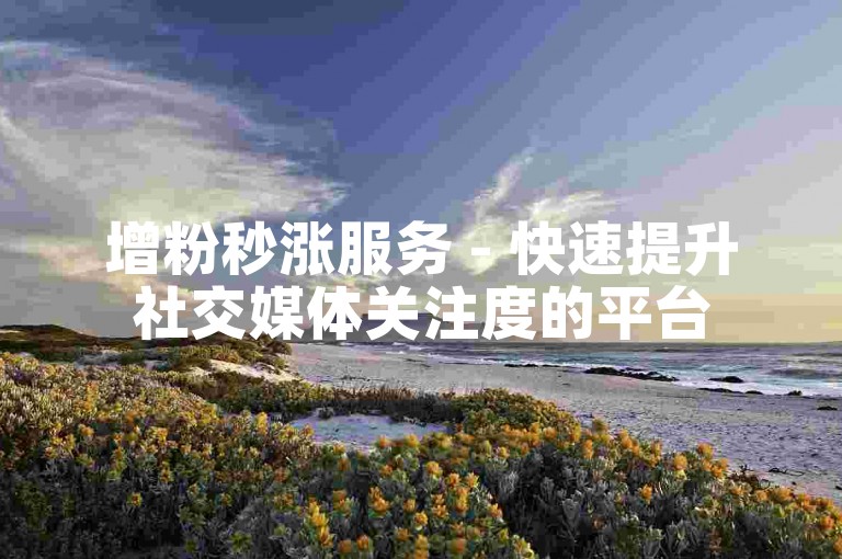 增粉秒涨服务 - 快速提升社交媒体关注度的平台