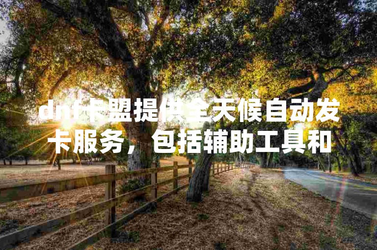 dnf卡盟提供全天候自动发卡服务，包括辅助工具和qq空间点赞等增值服务。