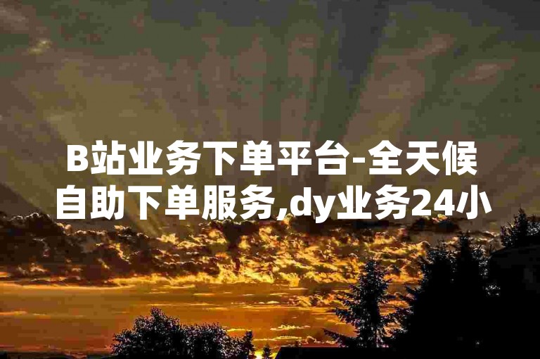 B站业务下单平台-全天候自助下单服务,dy业务24小时下单平台