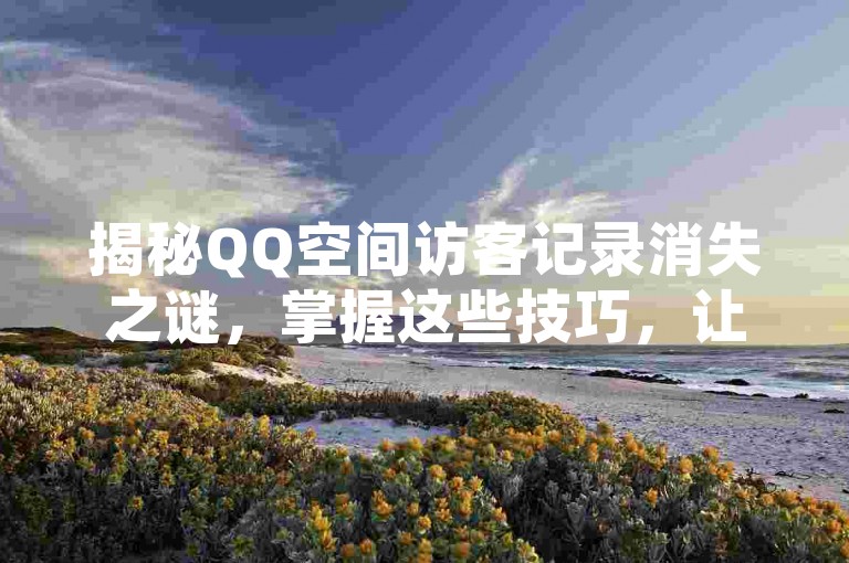 揭秘QQ空间访客记录消失之谜，掌握这些技巧，让你的访客记录在2025年重现！
