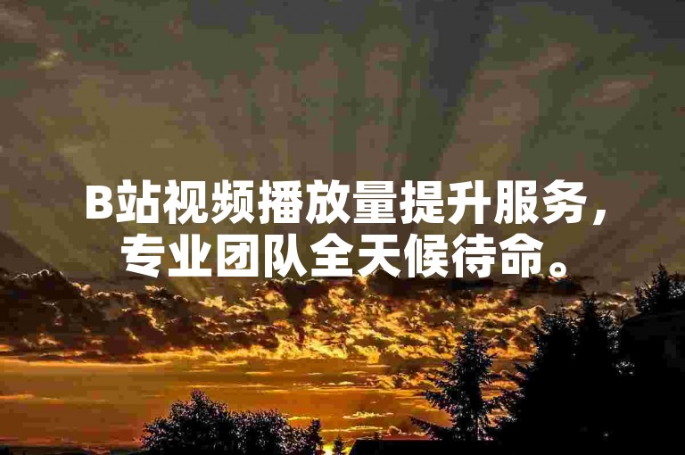 B站视频播放量提升服务，专业团队全天候待命。