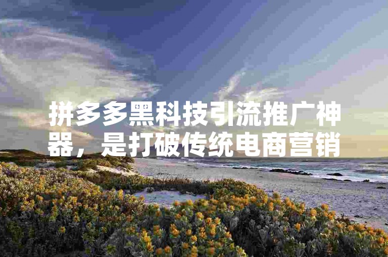 拼多多黑科技引流推广神器，是打破传统电商营销模式的创新工具。