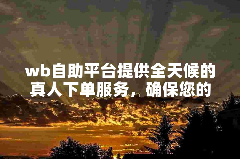 wb自助平台提供全天候的真人下单服务，确保您的ks业务需求得到快速响应。