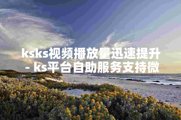 ksks视频播放量迅速提升 - ks平台自助服务支持微信支付下单