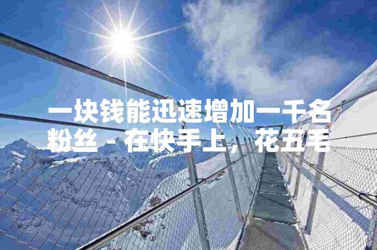 一块钱能迅速增加一千名粉丝 - 在快手上，花五毛钱就能获得一百个赞。