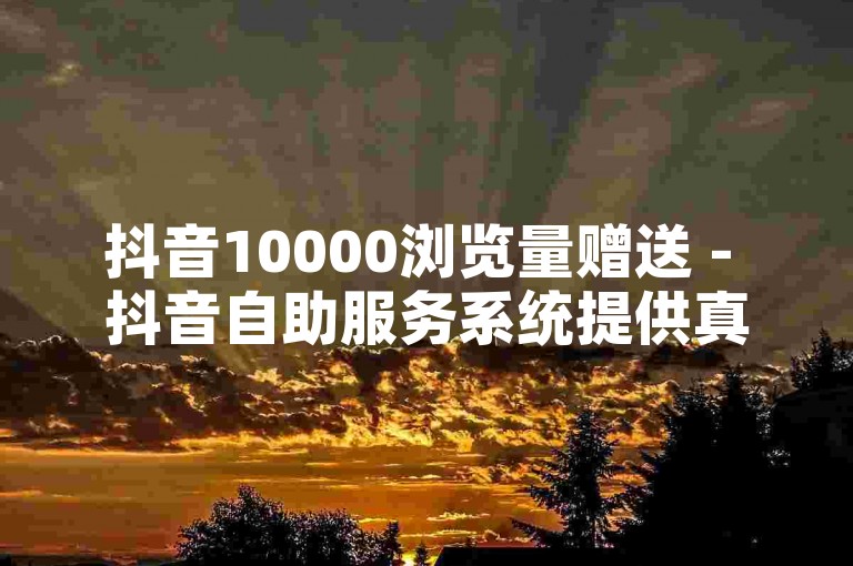 抖音10000浏览量赠送 - 抖音自助服务系统提供真实用户互动。