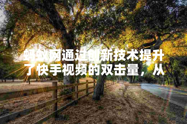蚂蚁网通过创新技术提升了快手视频的双击量，从而增强了用户的互动体验。