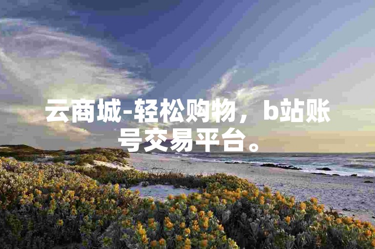 云商城-轻松购物，b站账号交易平台。