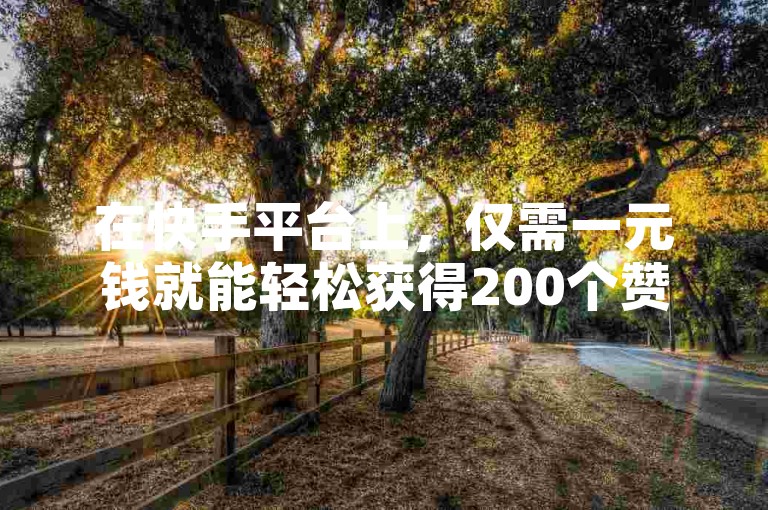 在快手平台上，仅需一元钱就能轻松获得200个赞。