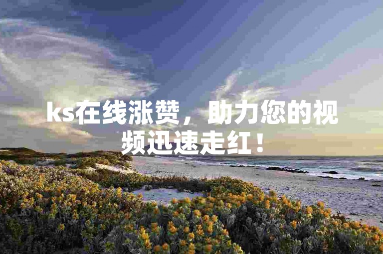 ks在线涨赞，助力您的视频迅速走红！