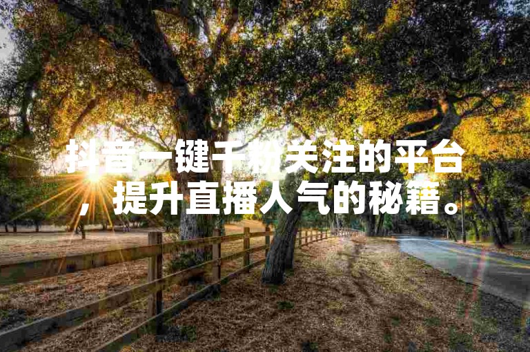 抖音一键千粉关注的平台，提升直播人气的秘籍。