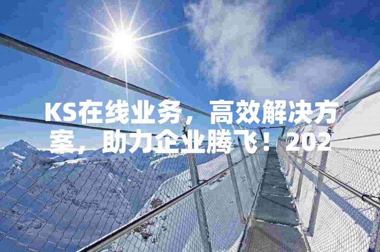 KS在线业务，高效解决方案，助力企业腾飞！2024必备技能。