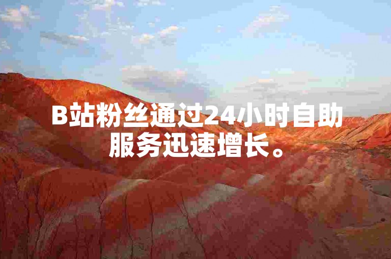 B站粉丝通过24小时自助服务迅速增长。