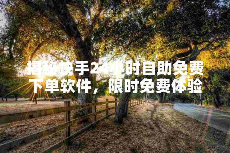 揭秘快手24小时自助免费下单软件，限时免费体验，让你在2025年轻松成为下单高手！