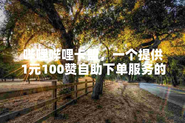 哔哩哔哩卡盟，一个提供1元100赞自助下单服务的网站。
