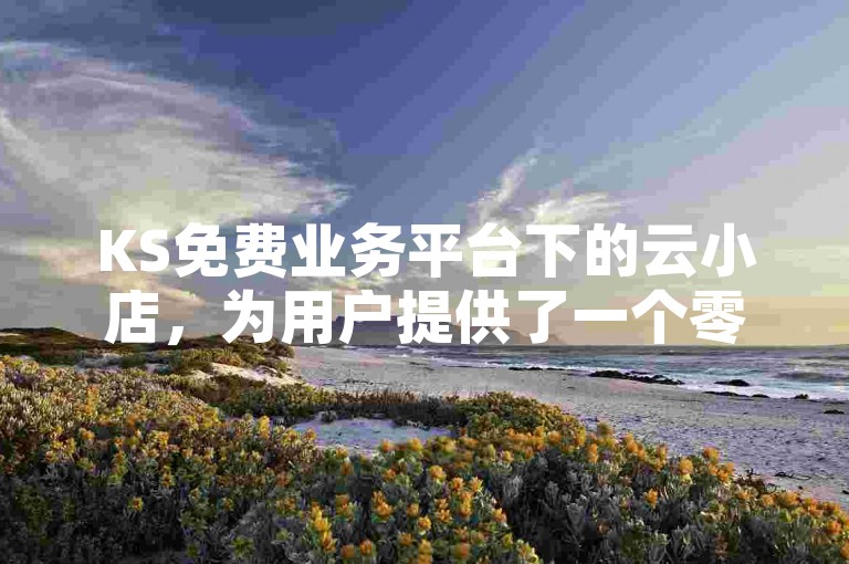 KS免费业务平台下的云小店，为用户提供了一个零成本的电商入门机会。