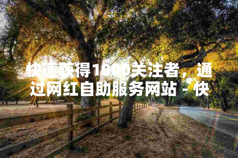 快速获得1000关注者，通过网红自助服务网站 - 快手全天候免费订单助手 - 抖音24小时优惠下单系统。
