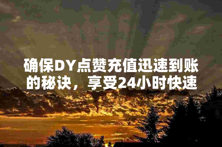 确保DY点赞充值迅速到账的秘诀，享受24小时快速充值服务，新手用户的理想选择！