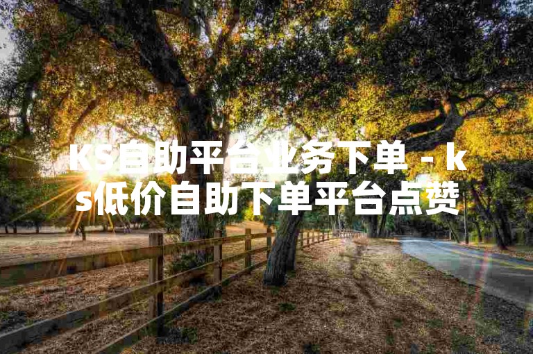 KS自助平台业务下单 - ks低价自助下单平台点赞