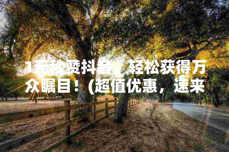 1元秒赞抖音，轻松获得万众瞩目！(超值优惠，速来抢购)