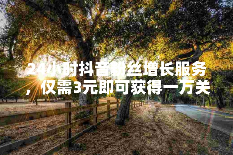 24小时抖音粉丝增长服务，仅需3元即可获得一万关注者。