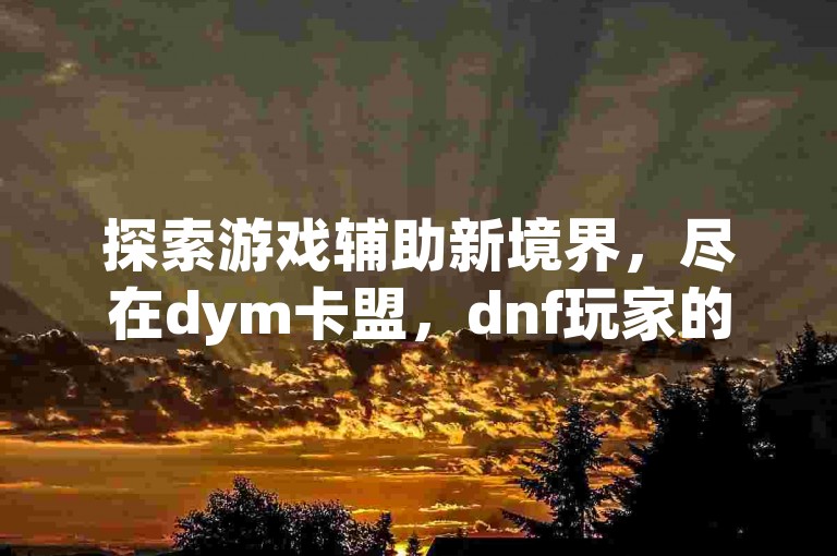 探索游戏辅助新境界，尽在dym卡盟，dnf玩家的专属助手。