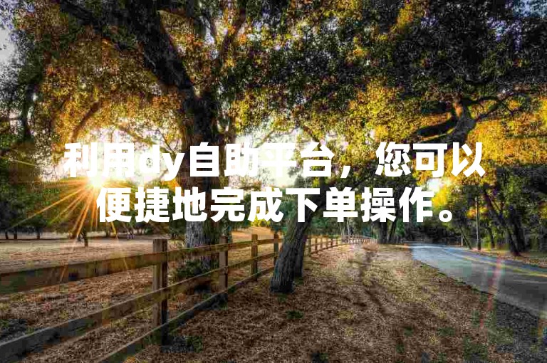 利用dy自助平台，您可以便捷地完成下单操作。