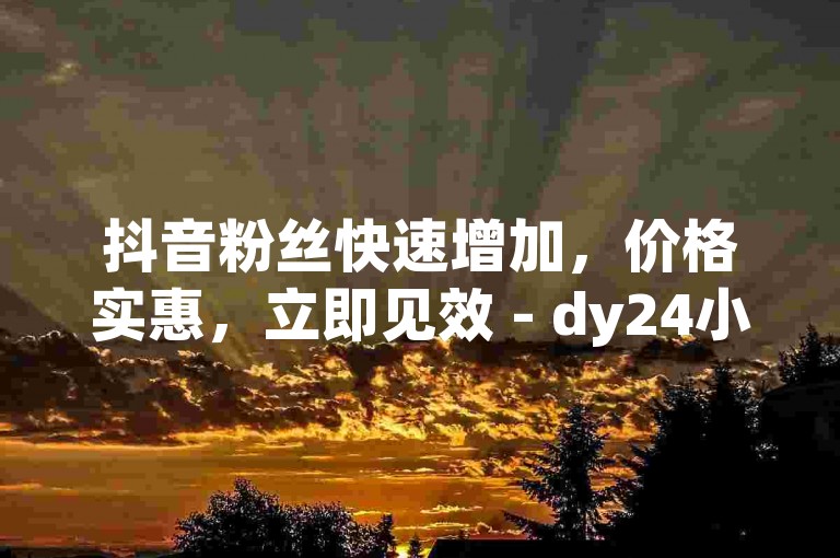抖音粉丝快速增加，价格实惠，立即见效 - dy24小时自助业务下单平台。