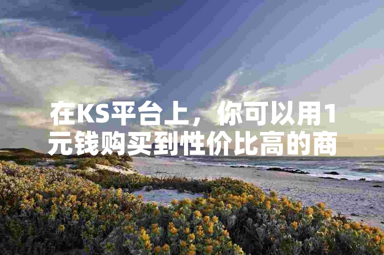 在KS平台上，你可以用1元钱购买到性价比高的商品。