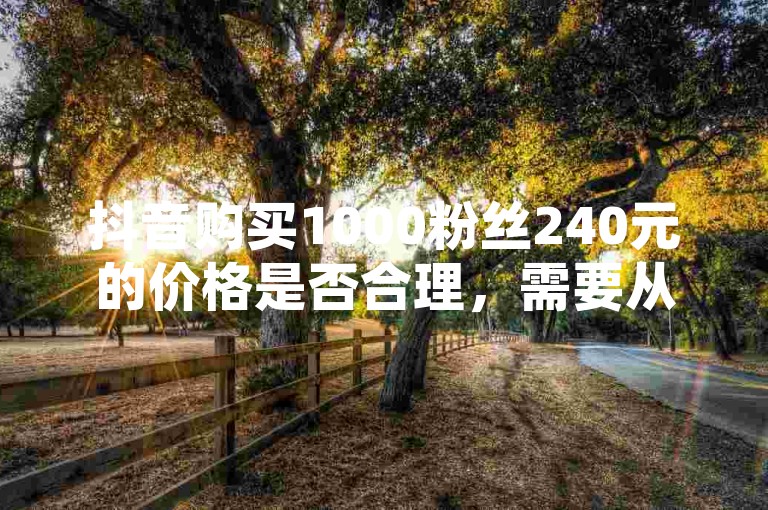 抖音购买1000粉丝240元的价格是否合理，需要从多个角度进行分析。