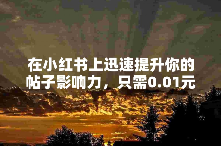 在小红书上迅速提升你的帖子影响力，只需0.01元即可获得十万点赞，让你的内容瞬间走红！