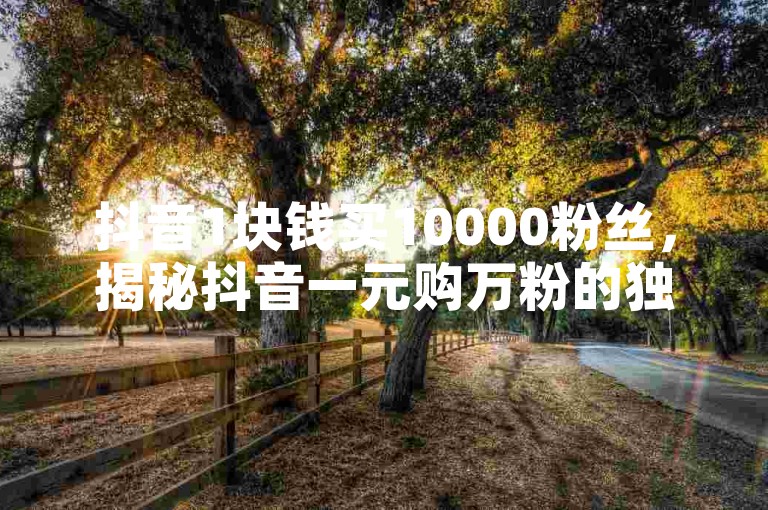抖音1块钱买10000粉丝，揭秘抖音一元购万粉的独家诀窍。