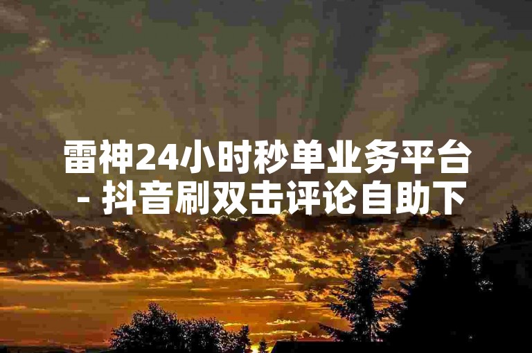 雷神24小时秒单业务平台 - 抖音刷双击评论自助下单
