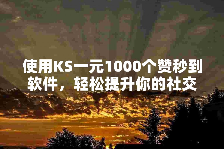 使用KS一元1000个赞秒到软件，轻松提升你的社交媒体影响力。