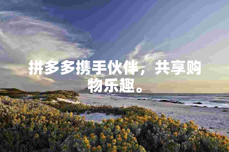 拼多多携手伙伴，共享购物乐趣。