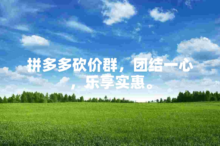 拼多多砍价群，团结一心，乐享实惠。