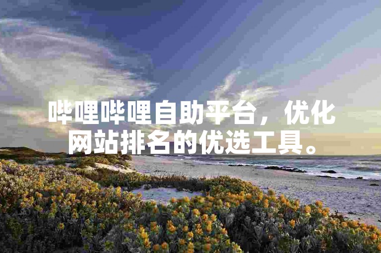 哔哩哔哩自助平台，优化网站排名的优选工具。