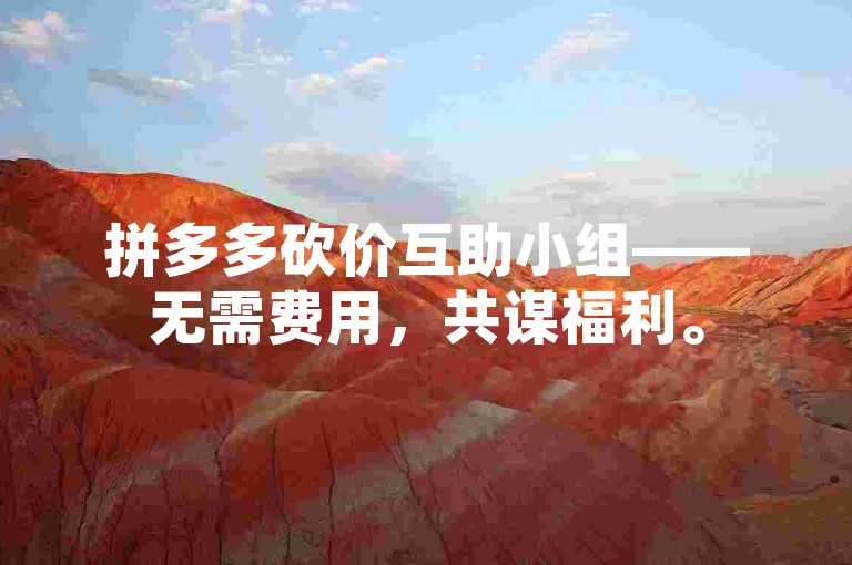 拼多多砍价互助小组——无需费用，共谋福利。
