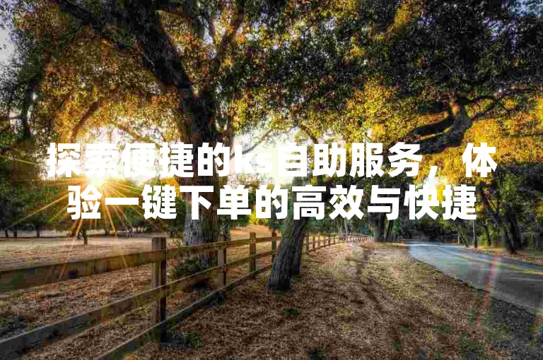 探索便捷的ks自助服务，体验一键下单的高效与快捷。