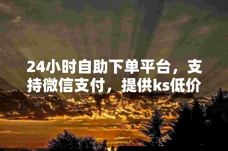24小时自助下单平台，支持微信支付，提供ks低价刷业务及dy业务区自助服务。