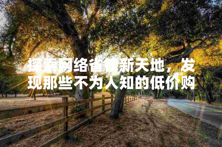 探索网络省钱新天地，发现那些不为人知的低价购物网站，2024年聪明消费指南！