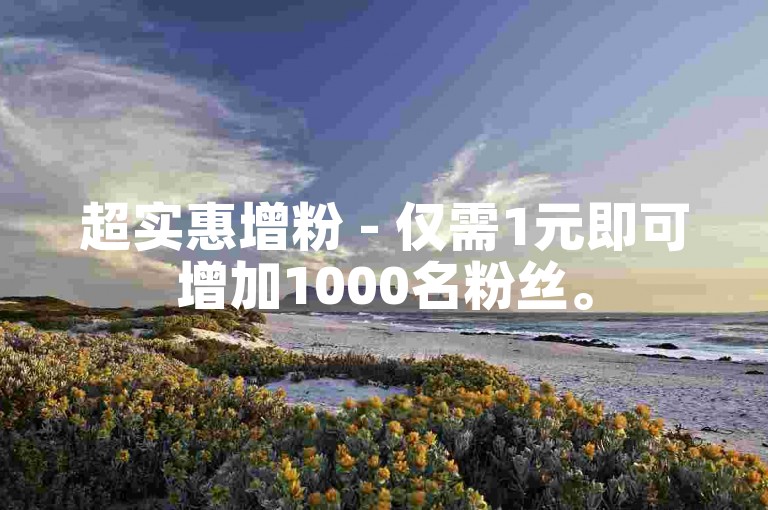 超实惠增粉 - 仅需1元即可增加1000名粉丝。