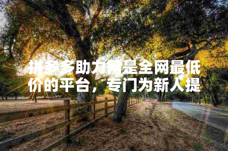 拼多多助力网是全网最低价的平台，专门为新人提供支持。