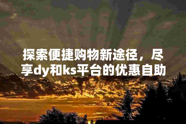 探索便捷购物新途径，尽享dy和ks平台的优惠自助下单服务。