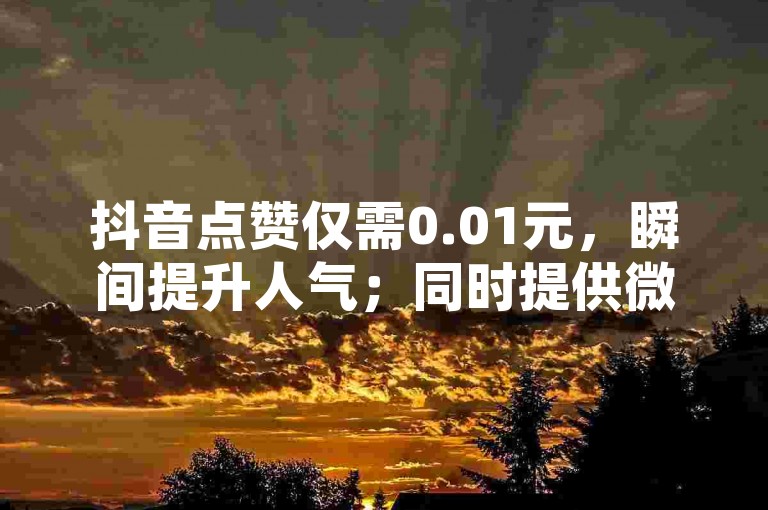 抖音点赞仅需0.01元，瞬间提升人气；同时提供微信支付服务，方便又快捷。