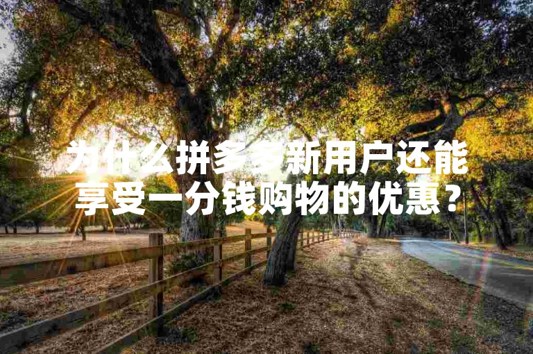 为什么拼多多新用户还能享受一分钱购物的优惠？