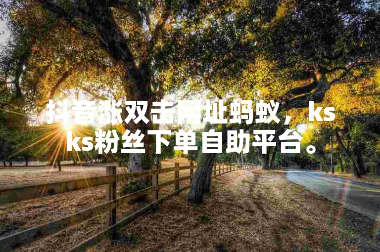 抖音涨双击网址蚂蚁，ksks粉丝下单自助平台。