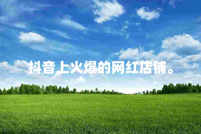 抖音上火爆的网红店铺。