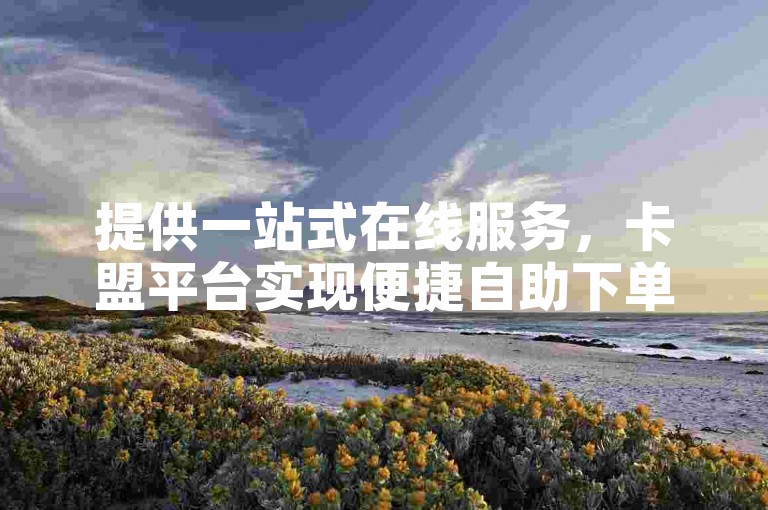 提供一站式在线服务，卡盟平台实现便捷自助下单。
